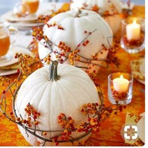 Meet your Posher, Chanty